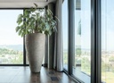 gallery_6.jpg