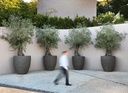 gallery_0.jpg