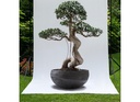 gallery_0.jpg