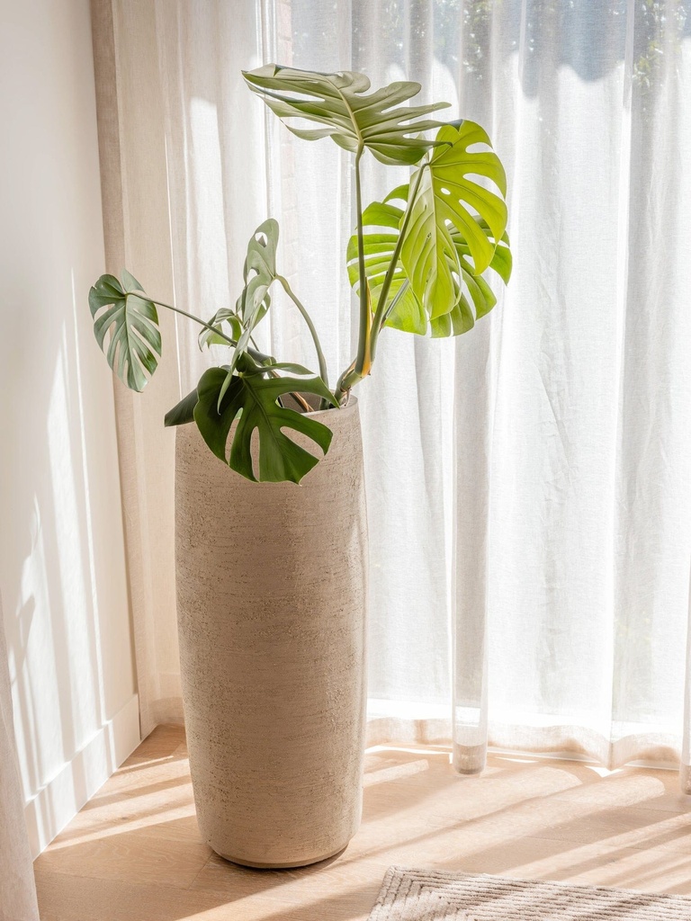 gallery_3.jpg