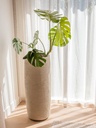 gallery_3.jpg