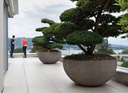 gallery_1.jpg