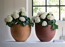 gallery_2.jpg
