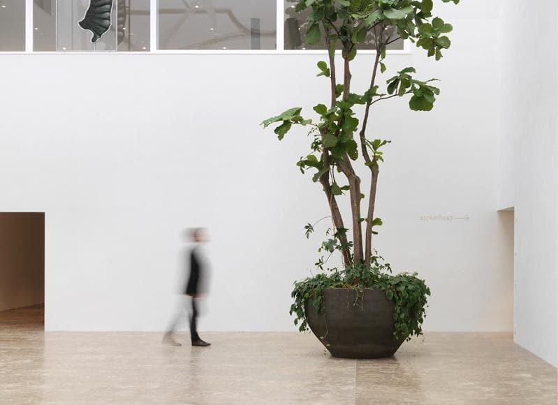 gallery_4.jpg