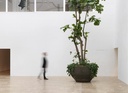 gallery_4.jpg