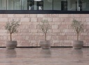 gallery_4.jpg