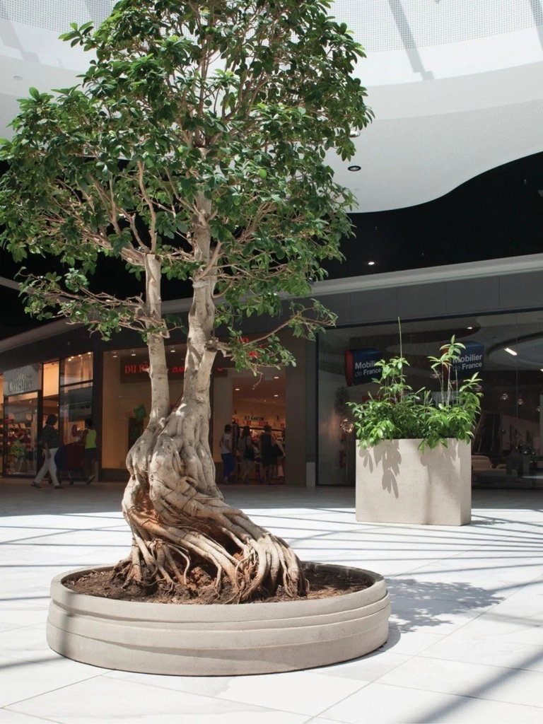 gallery_0.jpg