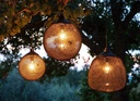 gallery_11.jpg