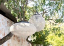 gallery_13.jpg