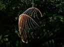 gallery_6.jpg
