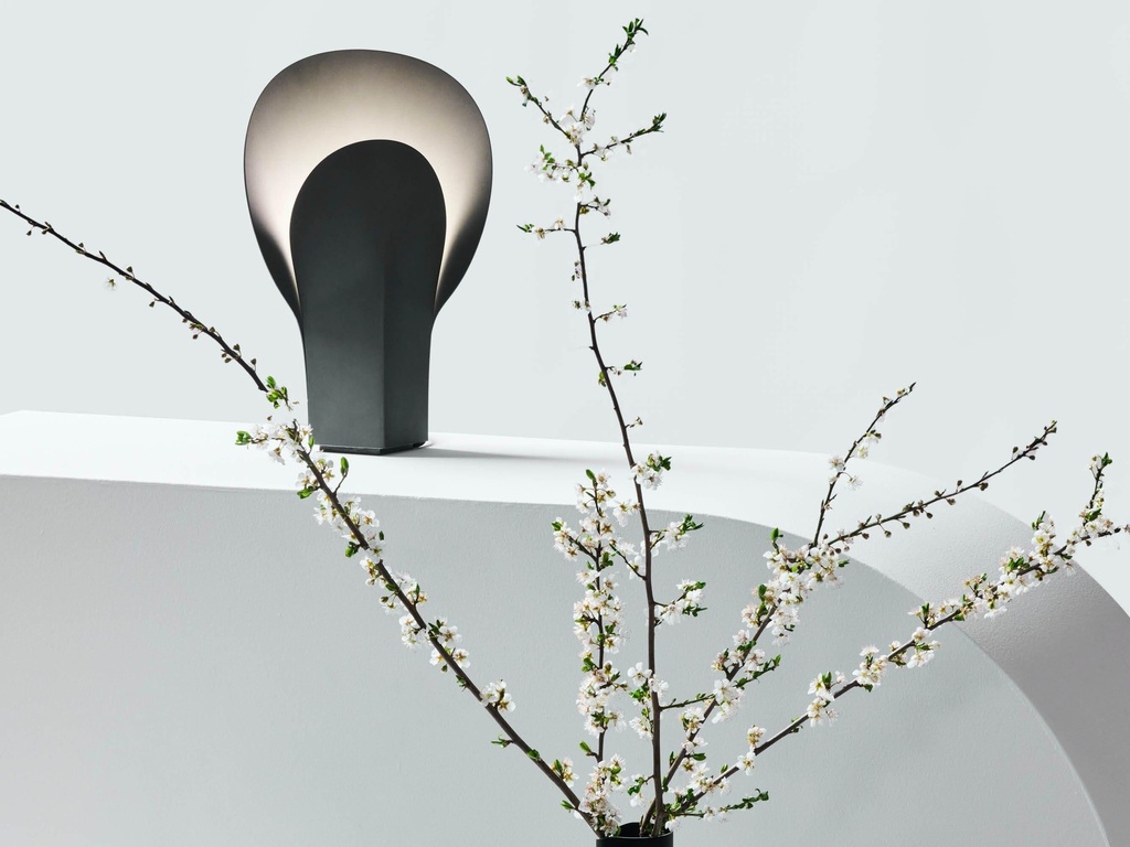 gallery_14.jpg