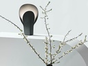 gallery_14.jpg