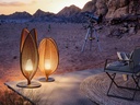 gallery_0.jpg
