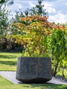 gallery_6.jpg