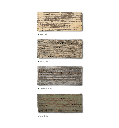 gallery_1.jpg