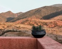gallery_0.jpg