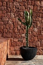 gallery_1.jpg