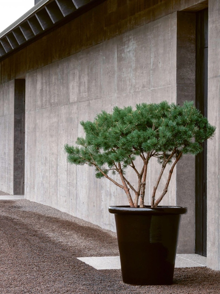 gallery_0.jpg