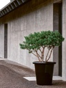 gallery_0.jpg
