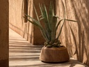 gallery_0.jpg