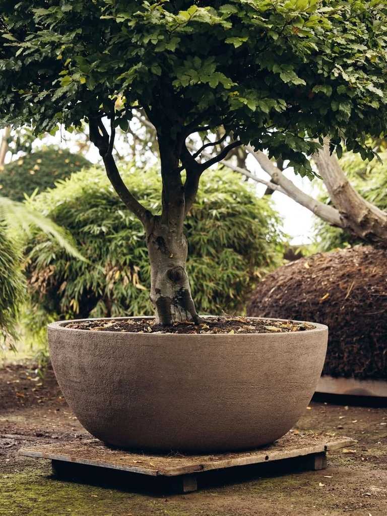 gallery_1.jpg