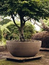 gallery_1.jpg