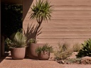 gallery_0.jpg