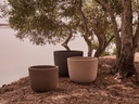 gallery_1.jpg