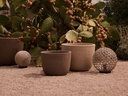 gallery_2.jpg