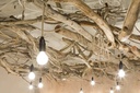 gallery_72.jpg