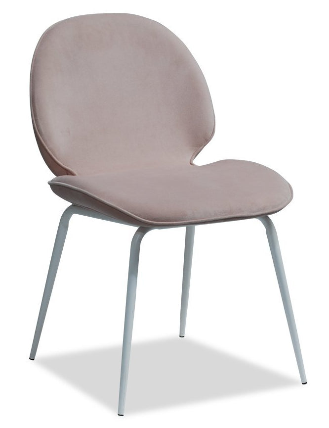 primary.jpg