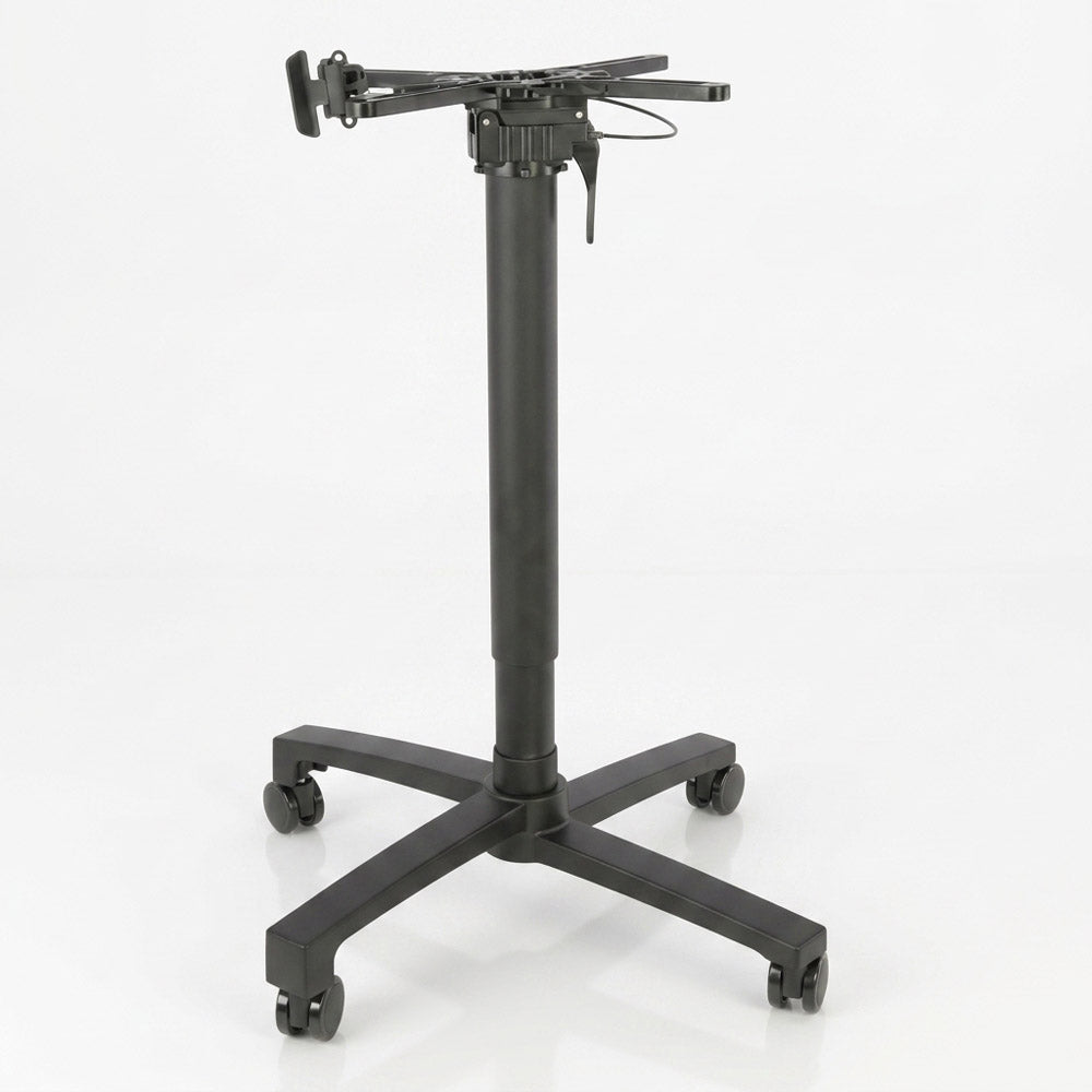 gallery_0.jpg