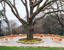 gallery_5.jpg