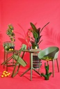gallery_9.jpg