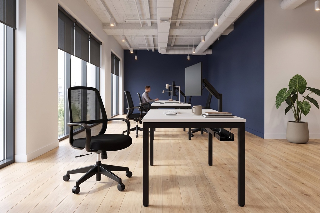 gallery_2.jpg