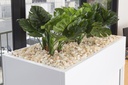 gallery_11.jpg