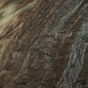 Image 14