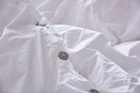 gallery_1.jpg