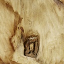 gallery_8.jpg