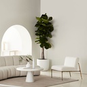 gallery_1.jpg
