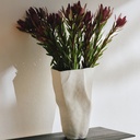 gallery_1.jpg