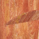 gallery_7.jpg