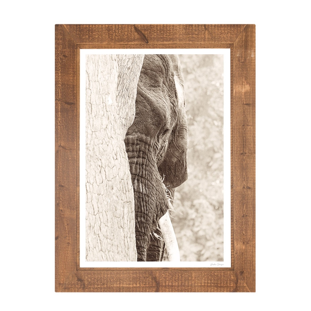 [AM-17] Africa Wall Art | Ukukhula