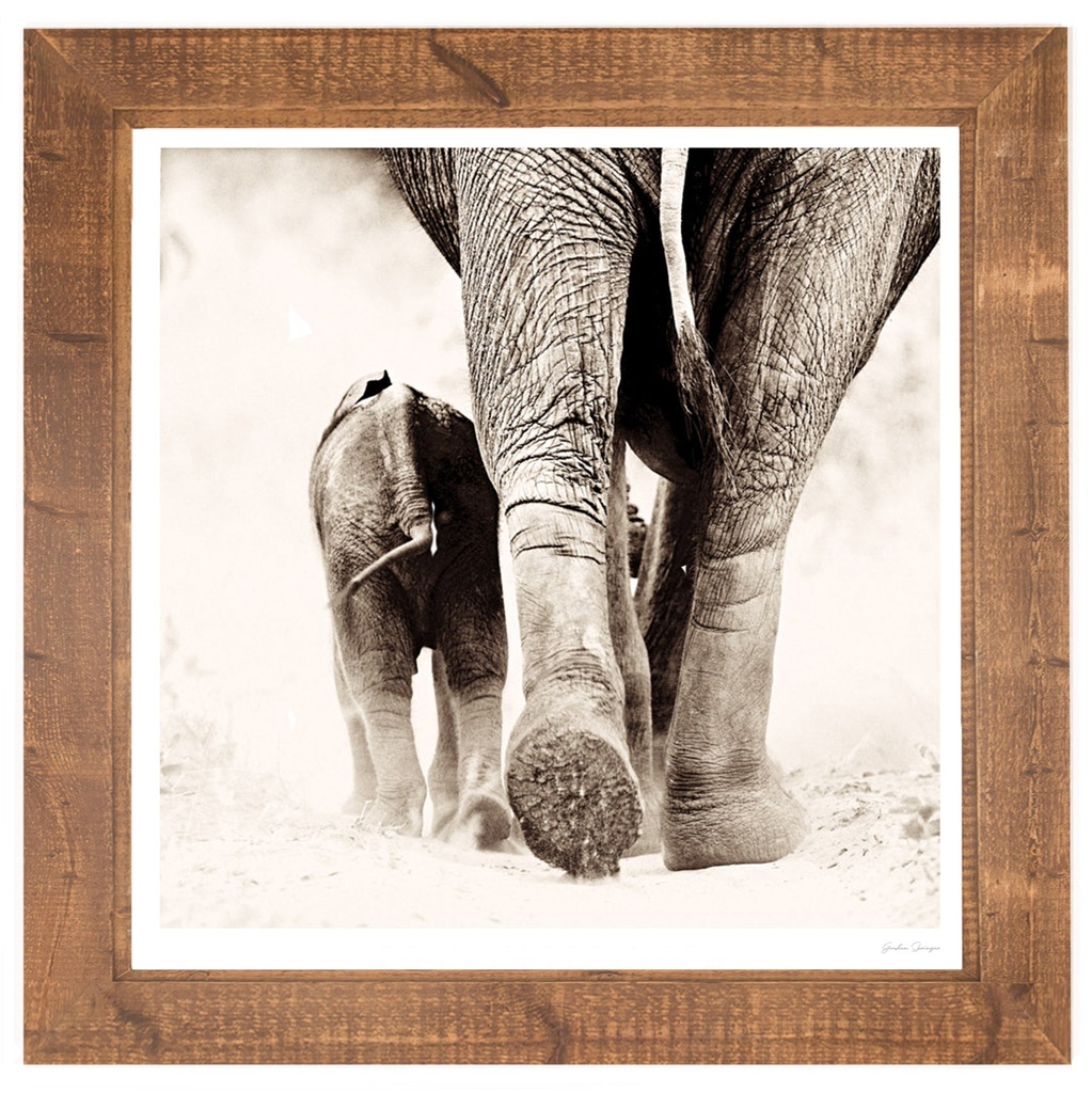 [AM-18] Africa Wall Art | Umama