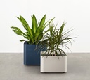 Softline Planter
