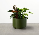 Drum Planter