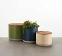 Xylem Planter