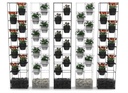 Spring Vertical Garden