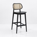 The Aspen Cane Back Bar Stool