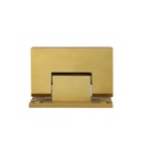 Kenzie Glass-to-Wall Shower Hinge - Brushed Brass
